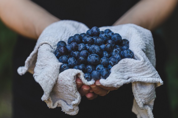 Arándanos ¿un superalimento?